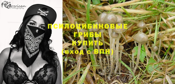 кокаин Белокуриха