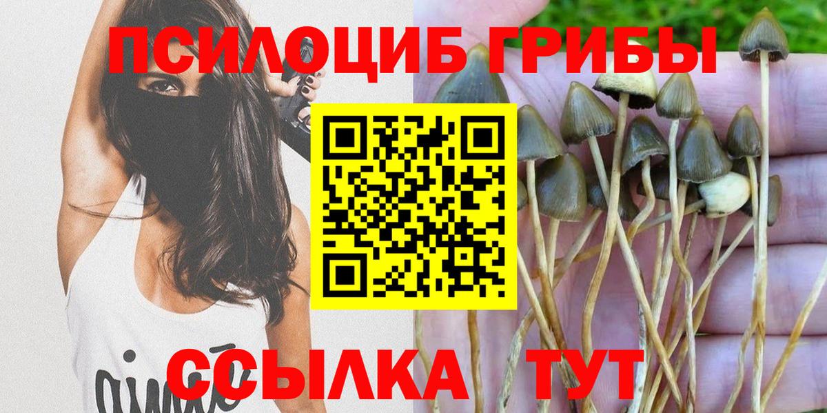 Псилоцибиновые грибы мухоморы  Галлюциногенные грибы Cubensis  Минеральные Воды  Вход с VPN 