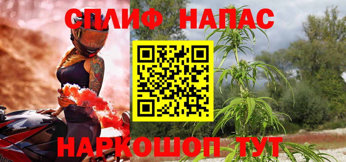 Канабис MAZAR  Конопля индика  Конопля OG Kush  Вход с VPN  Каннабис гибрид  Минеральные Воды 